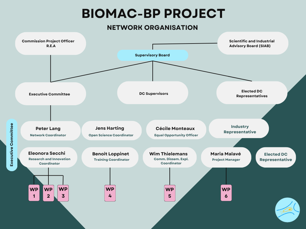 Network Organisation BIOMAC-BP